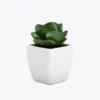 product-image-9_optimized Augue Neque