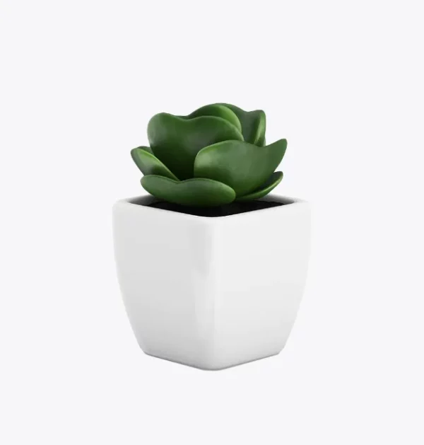 product-image-9_optimized Sollicitudin Aliquam